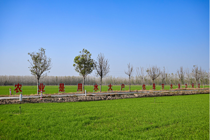 202412051733369282771834.png image.png