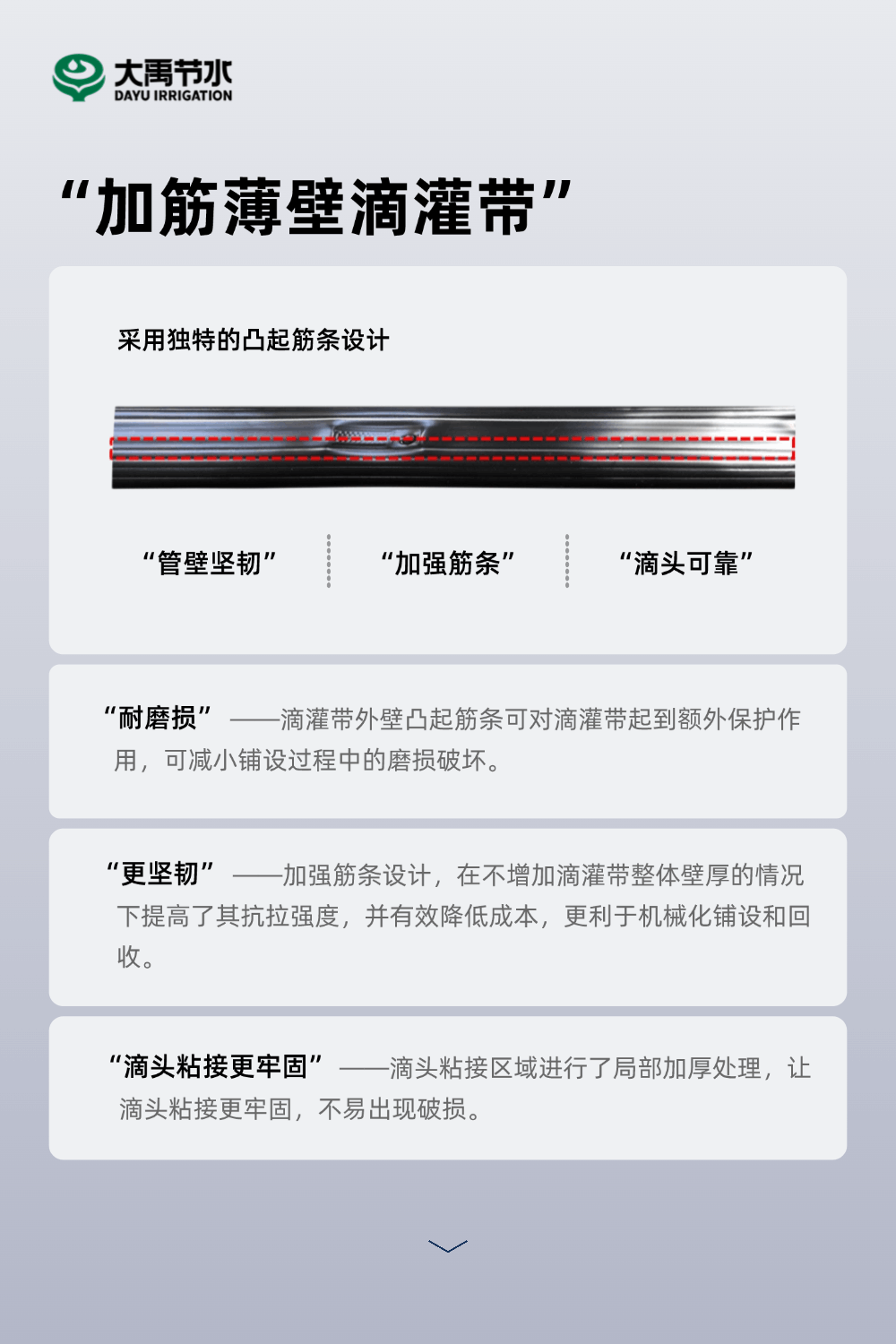 202502141739500920372647.gif 0211-替換2.gif