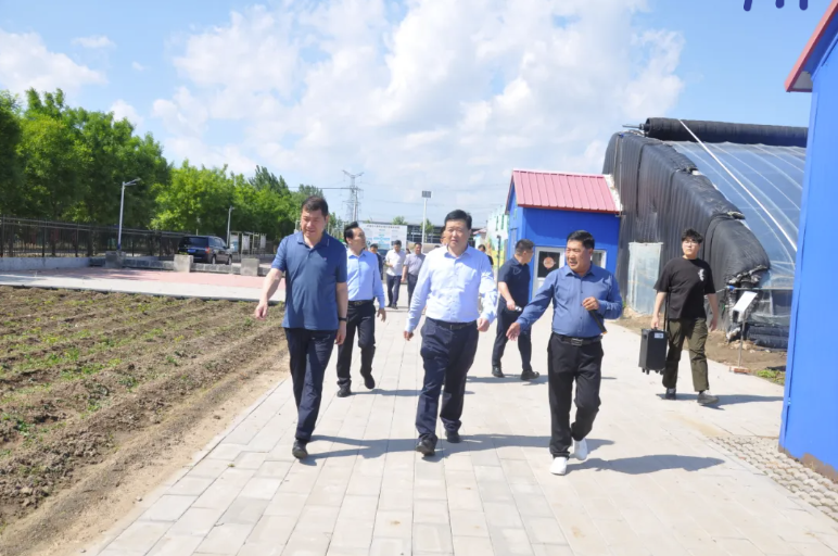 202505191747625478414083.png image.png