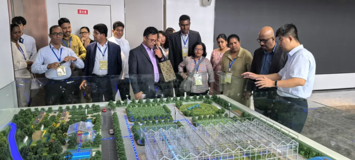 202507161752633159787678.png image.png