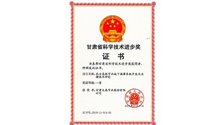 甘肅省科學(xué)技術(shù)進(jìn)步一等獎