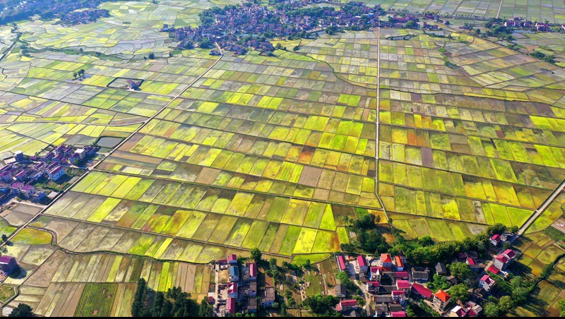 江西省南豐縣2020年統(tǒng)籌整合資金推進(jìn)高標(biāo)準(zhǔn)農(nóng)田建設(shè)項(xiàng)目