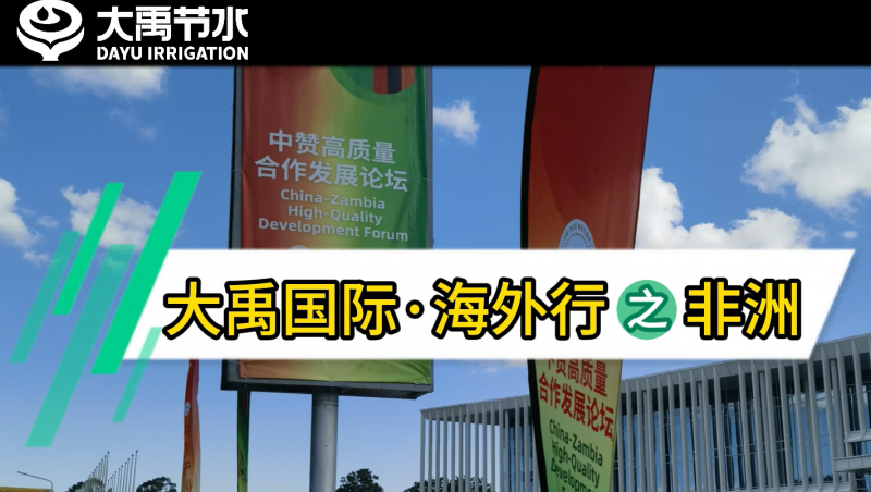 大禹國際·海外行之非洲