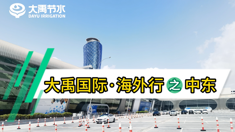 大禹國際·海外行之中東